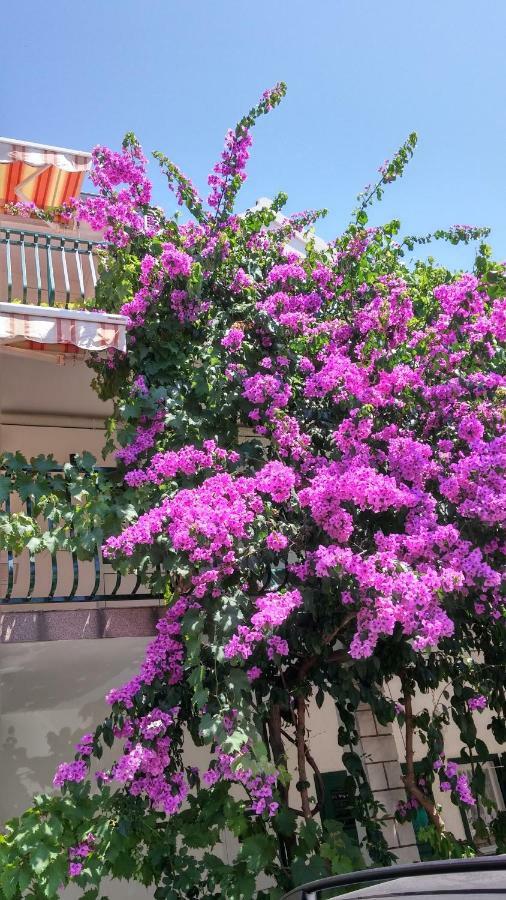 Mirjana Apartman Vodice Esterno foto